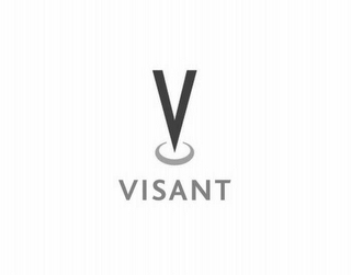 V VISANT logo