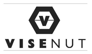 V VISENUT logo