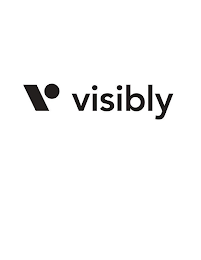 V VISIBLY logo
