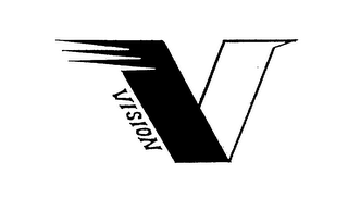 V VISION logo