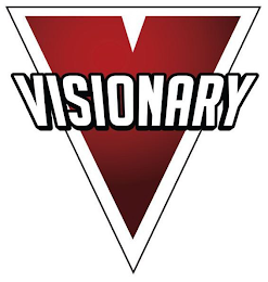 V VISIONARY logo