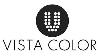 V VISTA COLOR logo