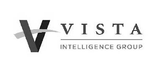 V VISTA INTELLIGENCE GROUP logo