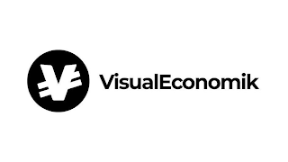 V VISUALECONOMIK logo