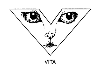 V VITA logo