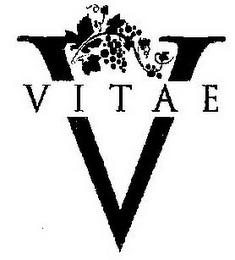 V VITAE logo