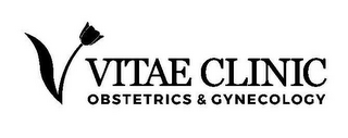 V VITAE CLINIC OBSTETRICS & GYNECOLOGY logo