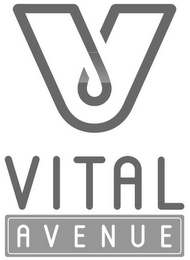 V VITAL AVENUE logo