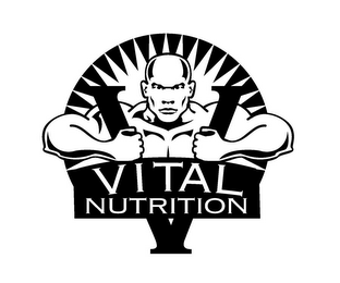 V VITAL NUTRITION logo