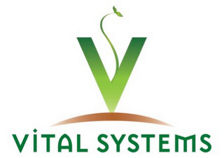 V VITAL SYSTEMS logo