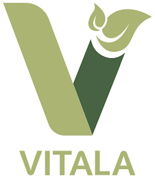 V VITALA logo