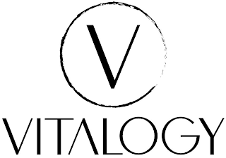 V VITALOGY logo