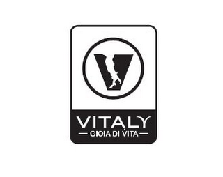 V VITALY GIOIA DI VITA logo