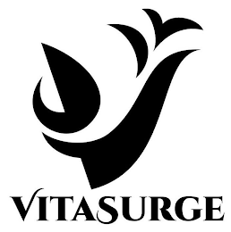 V VITASURGE logo