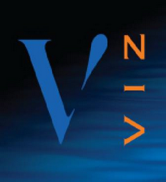 V VIZ logo