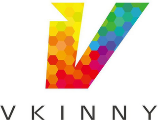 V VKINNY logo