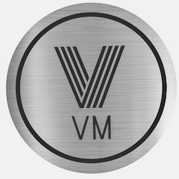 V VM logo