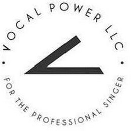 · V VOCAL POWER LLC · FOR THE PROFESSIONAL SINGER logo