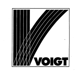 V VOIGT logo