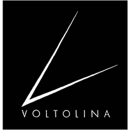 V VOLTOLINA logo