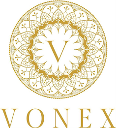 V VONEX logo