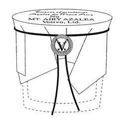 V VOTIVO logo