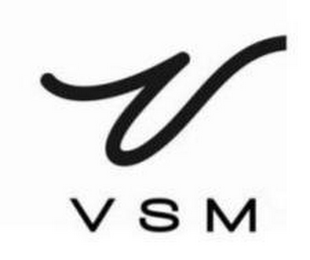 V VSM logo