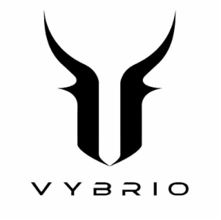 V VYBRIO logo