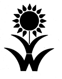 V W logo