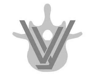 V Y logo