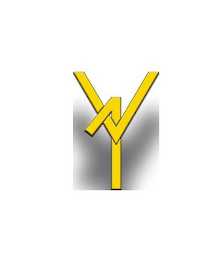 V1 logo