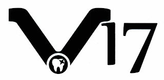 V17 logo