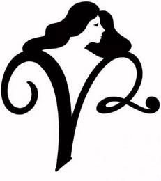 V2 logo