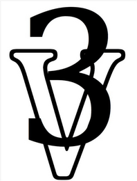 V3 logo