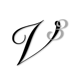 V3 logo