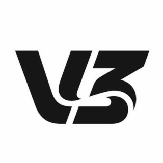 V3 logo