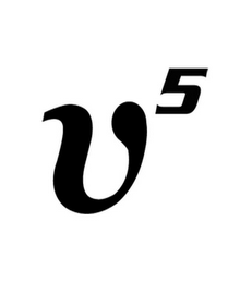 V5 logo
