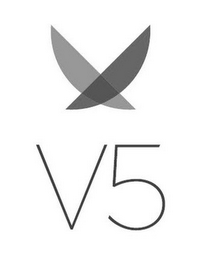 V5 logo