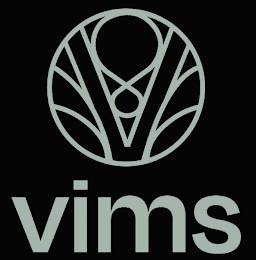 V8 VIMS logo