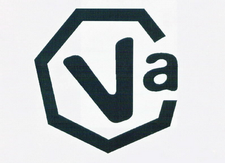 VA logo