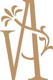 VA logo