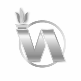 VA logo