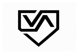 VA logo