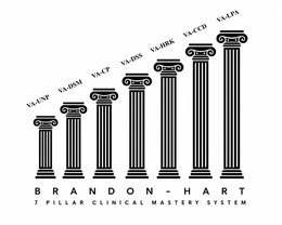 VA-UNP VA-DSM VA-CP VA-DSS VA-HRK VA-CCD VA-LPA BRANDON-HART 7 PILLAR CLINICAL MASTERY SYSTEM logo