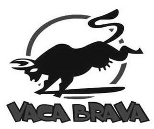 VACA BRAVA logo