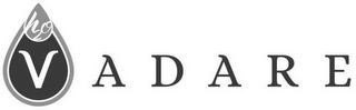 VADARE H2O logo
