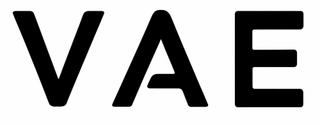 VAE logo