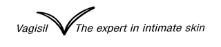 VAGISIL V THE EXPERT IN INTIMATE SKIN logo