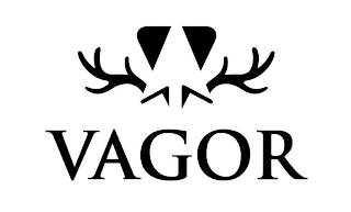 VAGOR logo