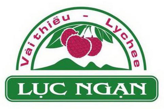 VAI THIEU - LYCHEE LUC NGAN logo